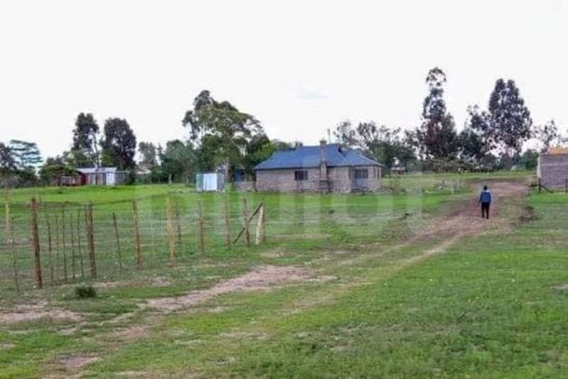 Kiambu Plot