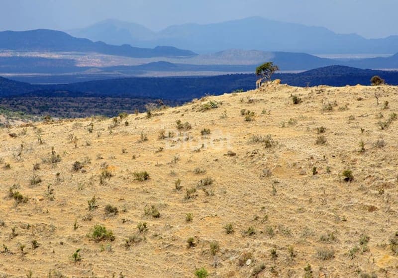 prime 2.3 acres land